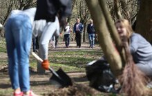 Фото 23: Сьогодні Львів прибирають в рамках акції «З нами місто розквітає»