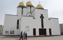 Фото 8: У Львові висадили 20 сакур, які місту подарувало Посольство Японії