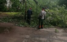 Фото 26: «До прибирання міста було задіяно сьогодні 1694 працівники комунальних підприємств і 72 одиниці техніки», - І. Маруняк