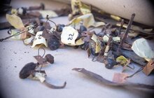 Фото 23: У Львові урочисто відкрили відреставровану браму каплиці Боїмів