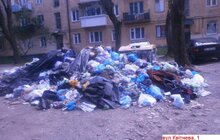 Фото 41: У місті 265 майданчиків, де ситуація з вивезенням сміття критична 