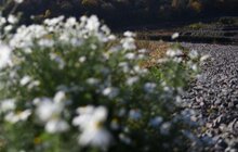 Фото 13: Підготовчі роботи на полігоні ТПВ в с. Великі Грибовичі напередодні рекультивації