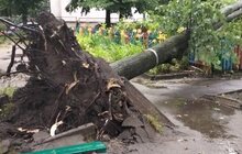 Фото 4: У Львові ліквідовують наслідки негоди