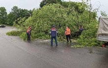 Фото 5: У Львові ліквідовують наслідки негоди