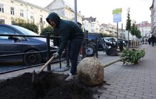 Фото 9: 41 нове дерево висаджують у центральній частині Львова: завдяки спонсорам зможуть закупити 50 дронів