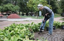 Фото 4: До Дня міста Бахмут його мешканці висадили у Львові троянди в пам'ять про свою домівку