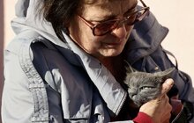 Фото 7: У Підбірцях безкоштовно провакцинували 35 котів та собак від сказу