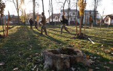 Фото 6: У Левандівському парку висадили 30 дерев пам’яті захисників (відео)