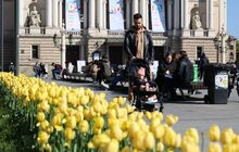 Фото 6: Тюльпани у Львові цвістимуть щороку, - почесний консул України в Нідерландах (відео)
