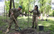 Фото 5: У Стрийському парку висадили 35 дерев у пам’ять про прикордонників, які віддали своє життя боротьбі за незалежність України