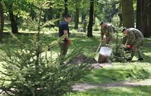 Фото 6: У Стрийському парку висадили 35 дерев у пам’ять про прикордонників, які віддали своє життя боротьбі за незалежність України