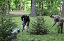 Фото 9: У Стрийському парку висадили 35 дерев у пам’ять про прикордонників, які віддали своє життя боротьбі за незалежність України