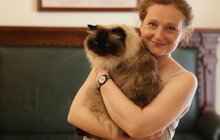 Фото 4: Візьми собаку на роботу: працівники мерії Львова прийшли на роботу із чотирилапими (відео)