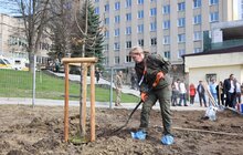 Фото 2: Біля корпусу реабілітації НЕЗЛАМНІ ростимуть дерева трьох міністерств та Червоного Хреста