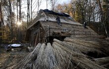 Фото 10: Музей народної архітектури та побуту у Львові реставрує цінні об’єкти (відео) 