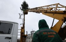 Фото 7: Головну ялинку Львова відвезли на компостування (відео)