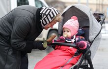 Фото 12: Головну ялинку Львова відвезли на компостування (відео)