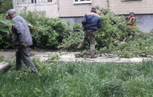Фото 4: Сильний вітер повалив у місті 3 дерева