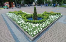 Фото 6: Біля пам’ятника С. Бандері облаштували квіткові клумби
