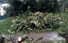 Фото 3: «Комунальні служби продовжують ліквідовувати наслідки негоди, вихідні плануємо оголосити робочими днями», - І. Маруняк