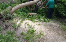 Фото 47: «Комунальні служби продовжують ліквідовувати наслідки негоди, вихідні плануємо оголосити робочими днями», - І. Маруняк