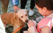 Фото 2: Маленькі львів’яни завітали до ЛКП «Лев», де піклуються про бездомних тваринок
