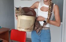 Фото 2: 11 собак та кота з ЛКП «Лев» прилаштували за 2 тижні