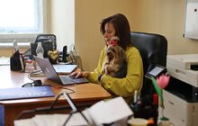 Фото 1: Візьми собаку на роботу: працівники мерії Львова прийшли на роботу із чотирилапими (відео)
