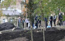 Фото 26: У Львові висадили 96 іменних дерев, присвячених загиблим Героям