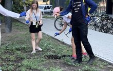 Фото 2: Від велоекскурсій з висадкою квітів до архітектури зцілення: Lviv Urban Forum розпочався з екскурсій та воркшопів (фото)