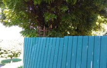 Фото 3: У парку культури виявлено незаконне захоплення землі парку