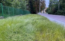 Фото 1: На вул. Пекарській тривають масштабні ремонтні роботи: до кінця літа ремонт вулиці планують завершити