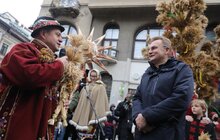 Фото 3: У Львові встановили головного Дідуха міста