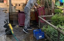 Фото 2: У Домівці врятованих тварин небайдужі допомогли прибрати вольєри