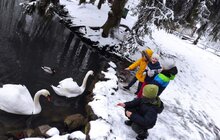 Фото 4: Шевченківський гай відновлює музейні зустрічі для дітей, де розказуватимуть про українські звичаї та культуру