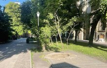 Фото 4: У центрі Львова демонтували два МАФи