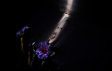 Фото 8: У Львові вшанувати пам'ять перших загиблих на Майдані Героїв Небесної Сотні