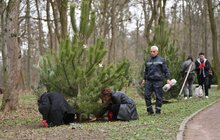 Фото 3: У Стрийському парку відкрили Пагорб пам’яті полеглих захисників