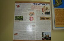 Фото 8: «Під час «Днів раннього виявлення глаукоми» діагноз цього захворювання вперше встановлено у 65 львів’ян», - В. Зуб