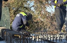 Фото 8: Шляхопровід на Рясне: вже змонтували усі 12 мостових балок