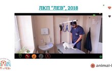 Фото 8: ЛКП «Лев» оголосило результати IV загальноміського підрахунку безпритульних собак у Львові