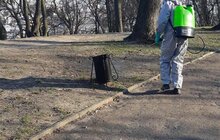 Фото 11: У Львові провели дезінфекцію парку ім. І. Франка та парку «Високий Замок»