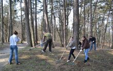 Фото 3: Компанія МакДональдз долучилась до загальноміської кампанії «З нами місто розквітає»