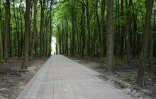 Фото 10: На Сихові розпочали роботи з облаштування парку духовної культури