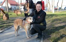 Фото 20: ЛКП «Лев» облаштувало тренувально-вигульний майданчик на вул. Промисловій