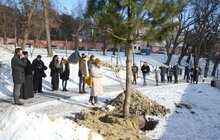 Фото 13: На Меморіалі пам’яті Героїв Небесної Сотні висадили сосни