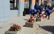 Фото 11: У районах Львова продовжують висаджувати квіткові композиції