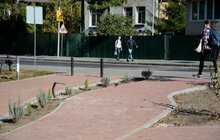 Фото 9: У Личаківському парку тривають ремонтні роботи: облаштовують центральну алею та велодоріжку