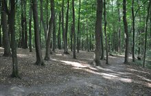 Фото 7: На Сихові створять парк духовної культури ім. Св. Папи Римського Івана Павла ІІ