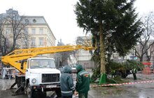 Фото 9: Головну ялинку міста демонтовують та відправлять на утилізацію